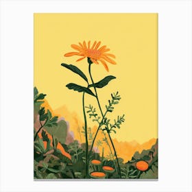 Boho Wildflower Painting Golden Ragwort 2 Canvas Print