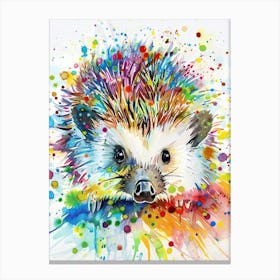 Hedgehog Colourful Watercolour 4 Canvas Print