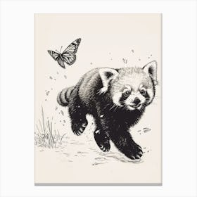 Red Panda Cub Chasing After A Butterfly Ink Illustration 2 Canvas Print