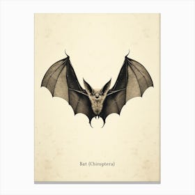 Vintage Bat Poster Canvas Print