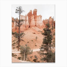 Bryce Canyon National Park Canvas Print