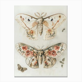 Moths And Butterflies William Morris Style 5 Canvas Print