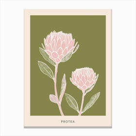 Pink & Green Protea 1 Flower Poster Canvas Print