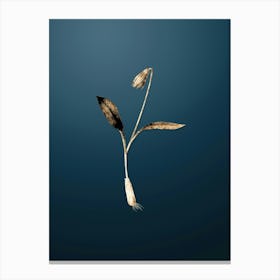 Gold Botanical Erythronium on Dusk Blue n.4079 Canvas Print