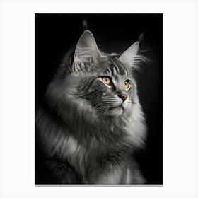 Maine Coon Cat 2 Canvas Print