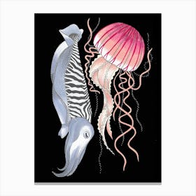Jellyfish And Cuttlefish Canvas Print