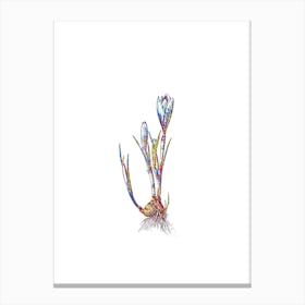 Stained Glass Spring Crocus Mosaic Botanical Illustration on White n.0033 Canvas Print