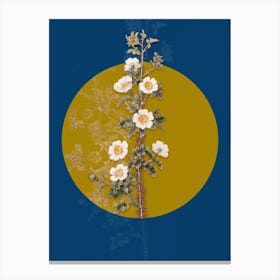 Vintage Botanical Scotch Rose Bloom on Circle Yellow on Blue Canvas Print