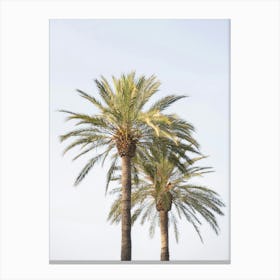 Mediterranean Palm Trees Canvas Print