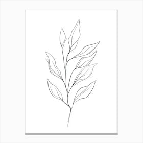 Drawing Of A Leaf 1 Canvas Print