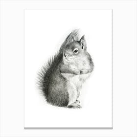Squirrel Pencil Drawing Canvas Print