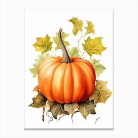 Musque De Provence Pumpkin Watercolour Illustration 4 Canvas Print