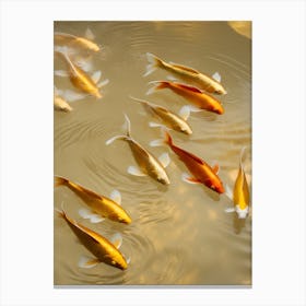 Koi Fish 25 Canvas Print