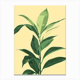 Chinese Evergreen Plant Minimalist Illustration 2 Canvas Print