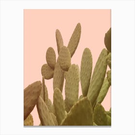 Prickly Pear Cactus Canvas Print