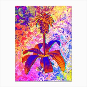 Eucomis Regia Botanical in Acid Neon Pink Green and Blue n.0281 Canvas Print