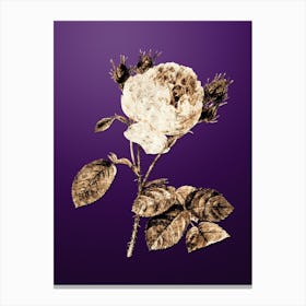 Gold Botanical Centifolia Roses on Royal Purple n.1208 Canvas Print