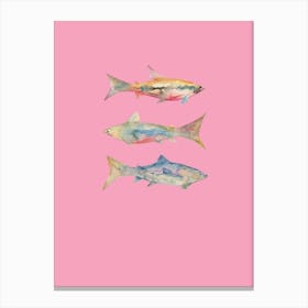 Pink Three Fish Canvas Print