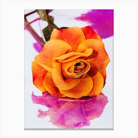 Rose On Water Canvas Print