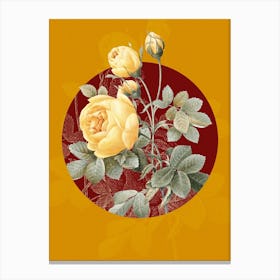 Vintage Botanical Yellow Rose Rosa Sulfurea on Circle Red on Yellow n.0323 Canvas Print