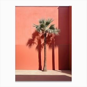 Palm Tree Against Pink Wall Summer Photography Canvas Print