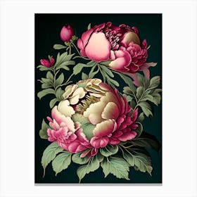 Peonies Black Vintage Botanical Canvas Print