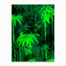 Bamboo Canvas Print