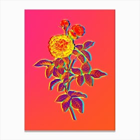 Neon One Hundred Leaved Rose Botanical in Hot Pink and Electric Blue n.0588 Canvas Print