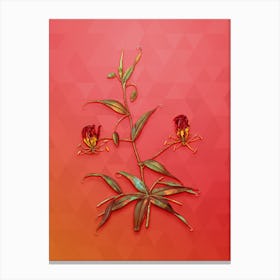 Vintage Flame Lily Botanical Art on Fiery Red n.1051 Canvas Print
