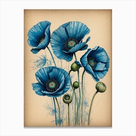 Blue Poppies 2 Canvas Print