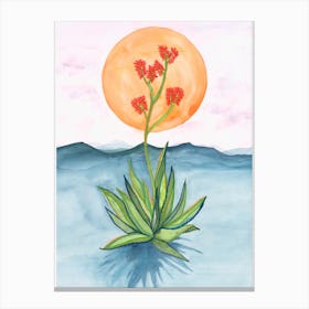 Aloe Vera Canvas Print