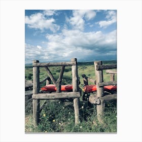 Two Wooden Benches In The Grass Canvas Print