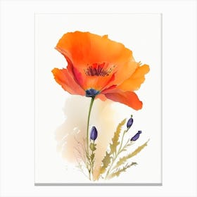 California Poppy Wildflower Watercolour 2 Canvas Print