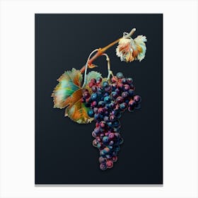 Vintage Grape Spanna Botanical Watercolor Illustration on Dark Teal Blue n.0243 Canvas Print