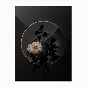 Shadowy Vintage Ventenat's Rose Botanical on Black with Gold Canvas Print