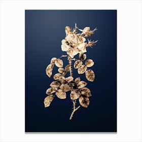 Gold Botanical Four Seasons Rose in Bloom on Midnight Navy n.0717 Canvas Print