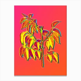 Neon Common Hackberry Botanical in Hot Pink and Electric Blue n.0279 Canvas Print