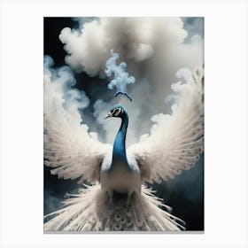 Peacock 22 Canvas Print