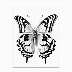 Monochrome Butterfly Decoupage 1 Canvas Print