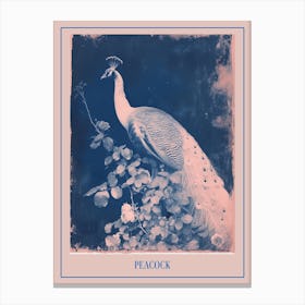 Blue & Pink Peacock Portrait 2 Poster Canvas Print