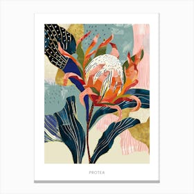 Colourful Flower Illustration Poster Protea 3 Canvas Print