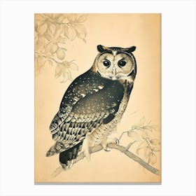 Australian Masked Owl Vintage Illustration 5 Canvas Print