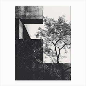 Tree In A Concrete Building Canvas Print