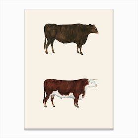 Two Cows Canvas Print