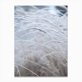 White And Calm Fields Canvas Print