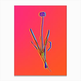 Neon Mouse Garlic Botanical in Hot Pink and Electric Blue n.0462 Canvas Print