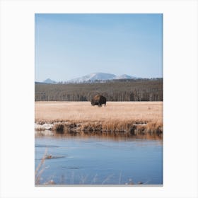 Icy Winter River Bison Canvas Print