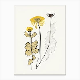 Coltsfoot Spices And Herbs Minimal Line Drawing 2 Canvas Print