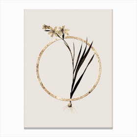 Gold Ring Gladiolus Glitter Botanical Illustration n.0270 Canvas Print