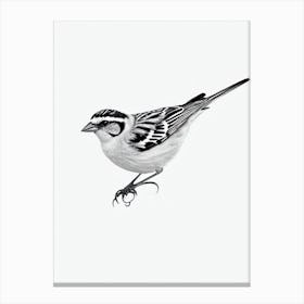 Sparrow B&W Pencil Drawing 2 Bird Canvas Print